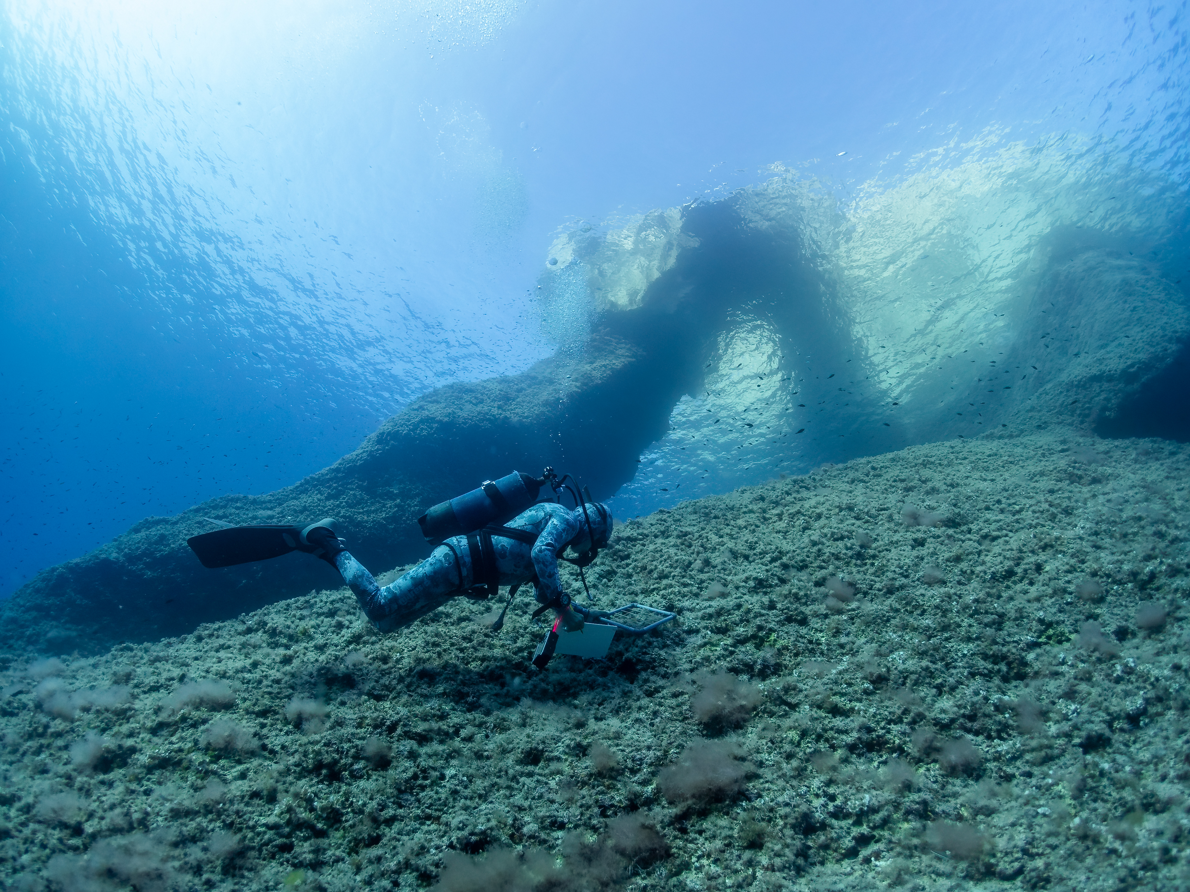 Kike Ballesteros underwater photography